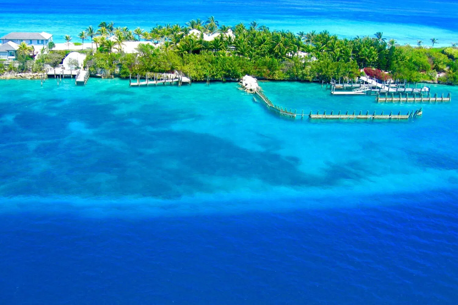 Turquoise water and a palm-lined shore at Nassau, Bahamas